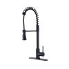 Commercial Modern Single Handle Spring High Arc Kitchen Faucet Matte Black